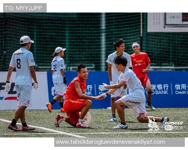 飞盘竞技新纪元权威发布实力榜单引领潮流与趋势