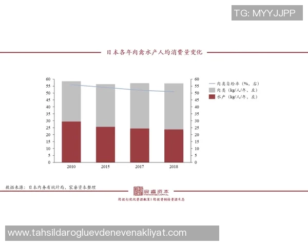 TES心理素质深度对比分析:影响比赛表现的关键因素探讨