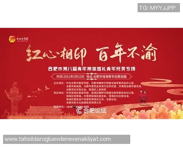 专访赵芳揭秘DOTA2成功背后的策略与团队协作秘诀