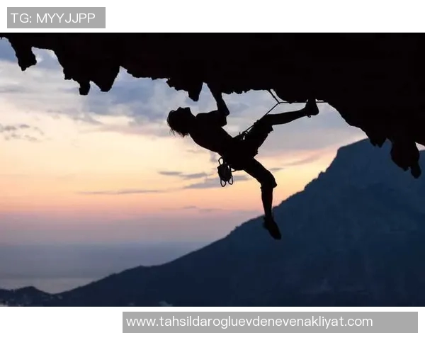 北京极限运动队在世界攀岩锦标赛中的战术分析与表现评估