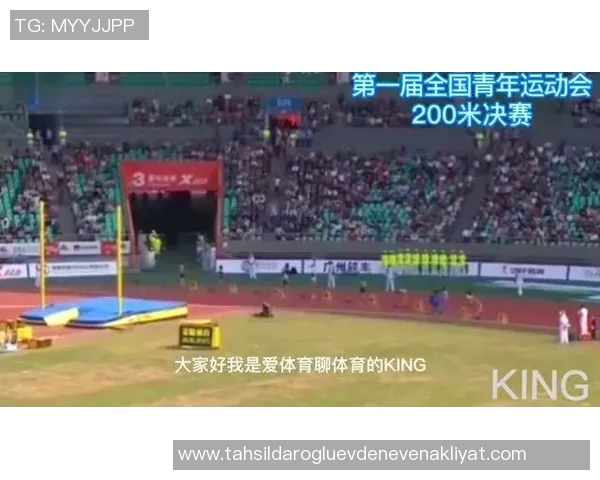 杨秀英专访：从排球场到人生舞台的精彩旅程回顾