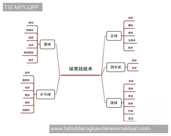 杭州篮球队中路突破战术解析与实战应用探讨