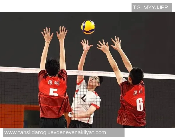 成都排球队的默契配合与战术解析探索排球运动的魅力与团队精神