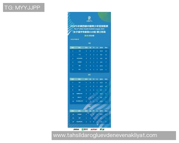 杭州足球队荣登足球意识排行榜第四名引发热议