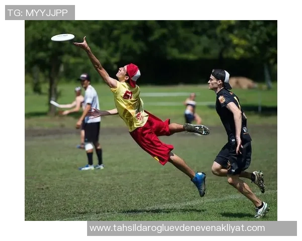 武汉飞盘队战术创新引领潮流飞盘战术排名再创佳绩