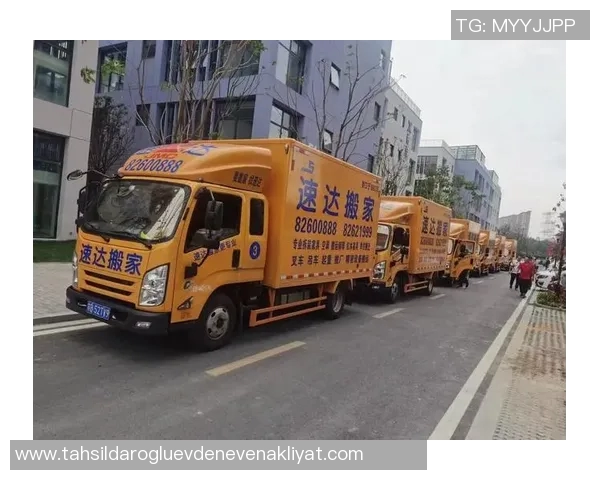 智能化快递搬家服务助力都市居民便捷高效搬迁解决方案