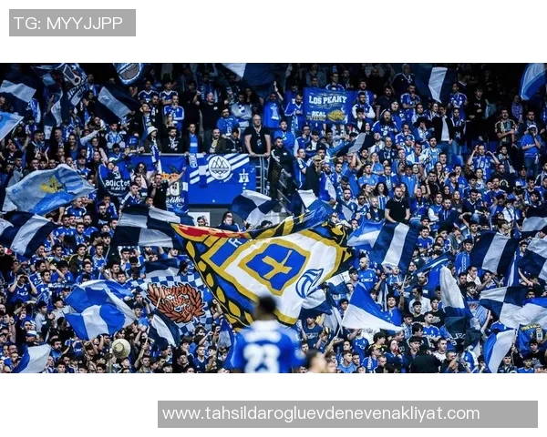 奥维耶多与西班牙人激战正酣谁能在这场较量中笑到最后