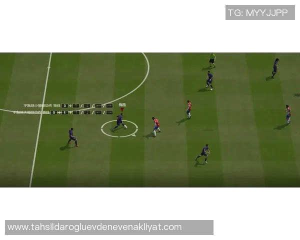 杭州飞盘队在攀岩联赛中的默契配合与战术分析