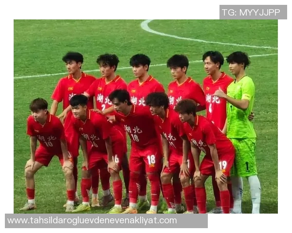 武汉足球队强势崛起最新足球实力排名前十解析