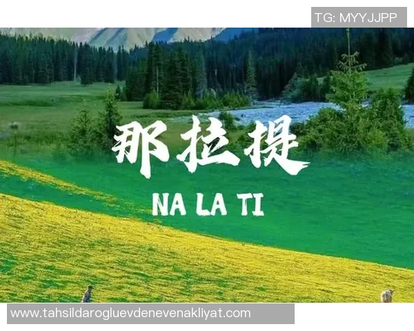 畅享大自然的无限魅力：十大必试户外活动带你探索野外极限之美