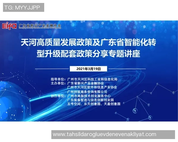 重磅专题：探索BLG在行业转型中的创新与发展路径