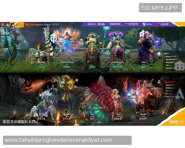 TES的荣耀与挑战：DOTA2赛场上的奋斗历程全景纪实