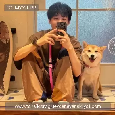 齐音芝